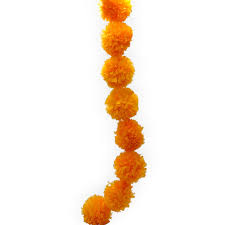 GUIA DE FLORES DE CEMPASUCHIL