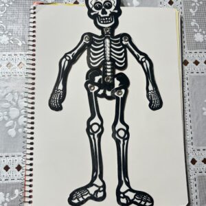ESQUELETO DE CARTON
